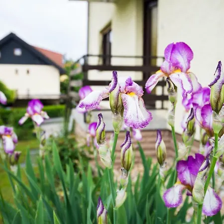 Apartma Ela Апартаменты *