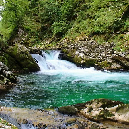 아파트 Apartma Ela 블레드