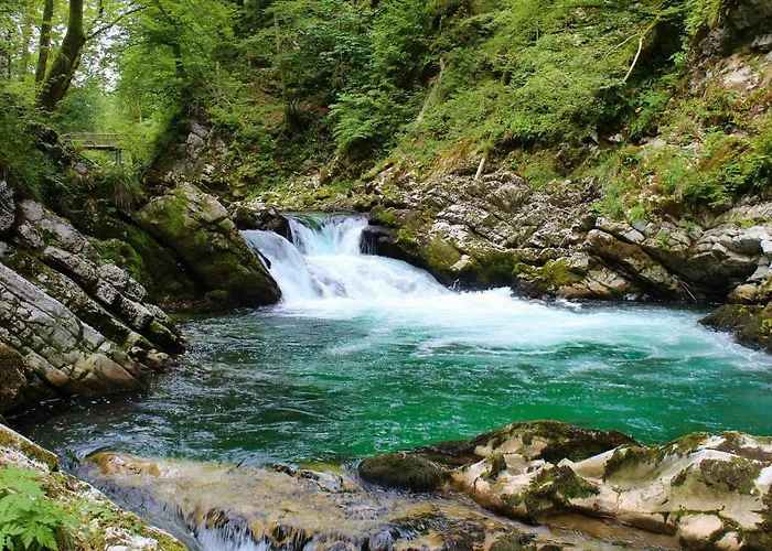 Daire Apartma Ela Bled